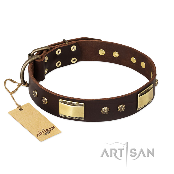 Genuine leather dog collar with strong traditional buckle and embellishments