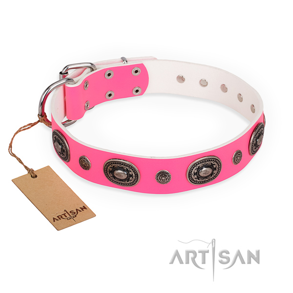 Best quality full grain natural leather dog collar crafted for walking