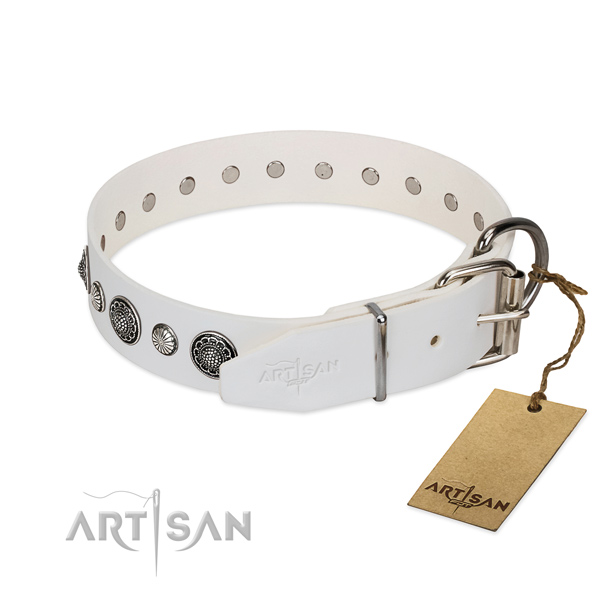 Soft leather dog collar with rust-proof fittings