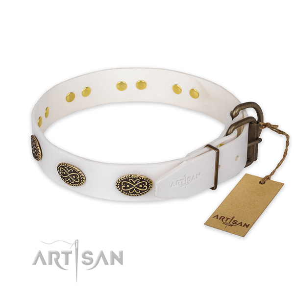 Durable D-ring on leather collar for stylish walking your pet