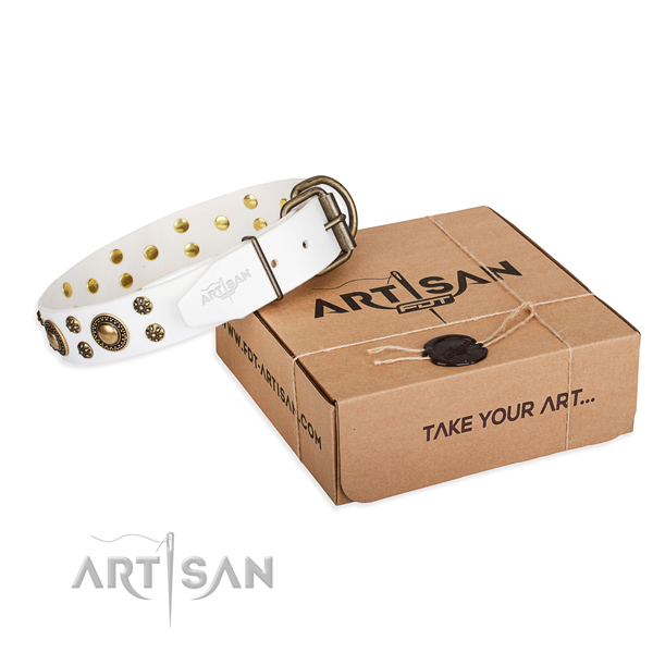 Daily walking dog collar of durable genuine leather with studs