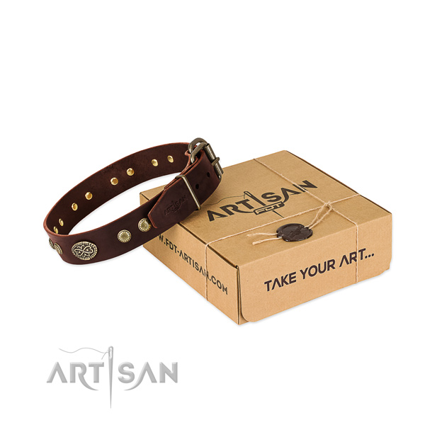 Reliable fittings on genuine leather dog collar for your pet
