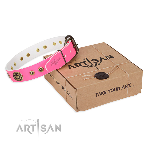 Full grain natural leather dog collar made of quality material with strong buckle