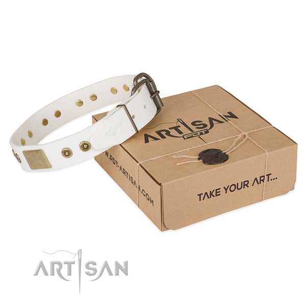 Impressive full grain natural leather collar for your lovely pet