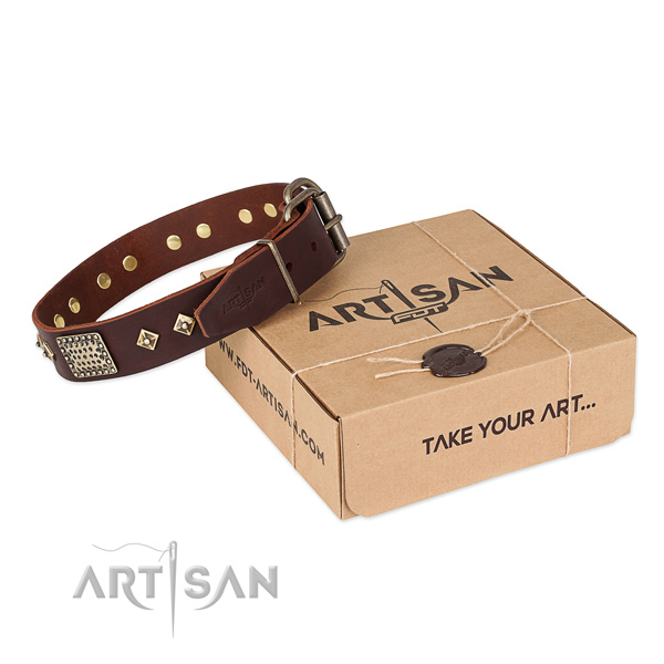 Embellished genuine leather collar for your beautiful canine