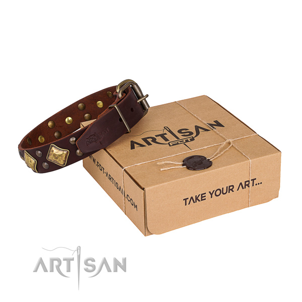 Stylish walking dog collar with Impressive rust resistant embellishments