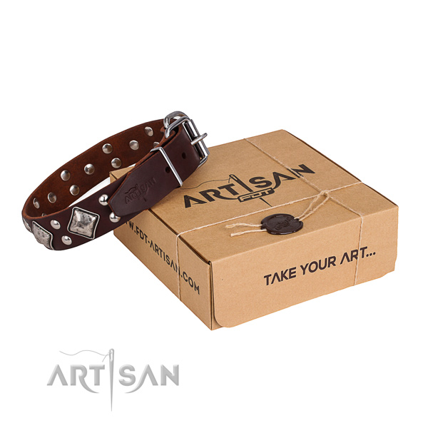 Easy wearing dog collar with Designer reliable decorations