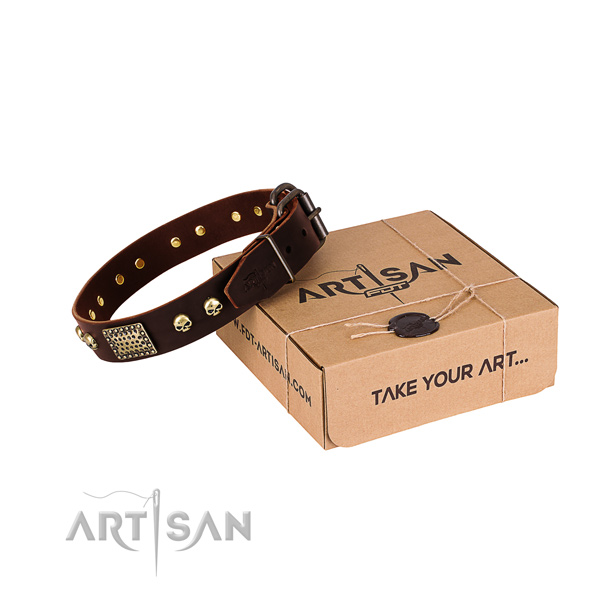 Corrosion resistant hardware on dog collar for daily walking