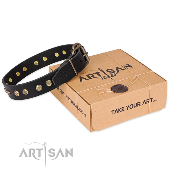 Rust resistant fittings on leather collar for your lovely four-legged friend