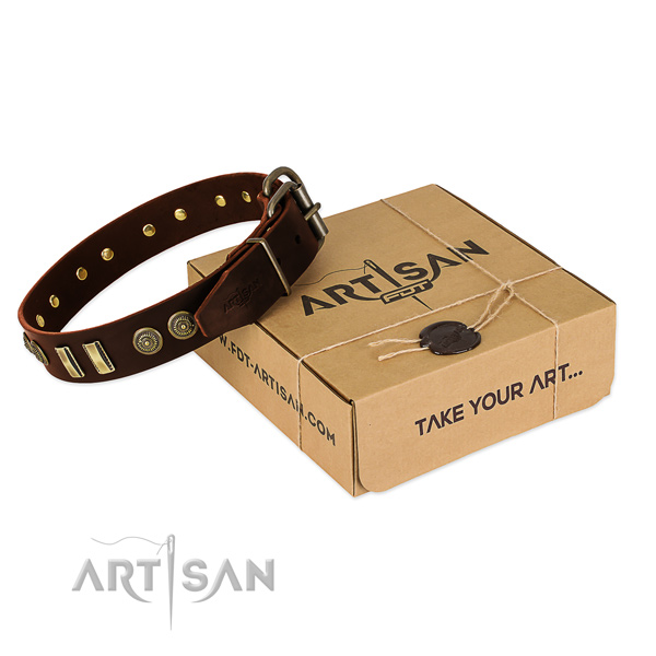 Corrosion proof traditional buckle on full grain leather dog collar for your doggie