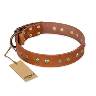 "Spring Flavor" FDT Artisan Adorned Leather German Shepherd Collar with Old Bronze-Plated Engraved Studs