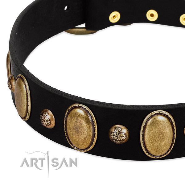 Full grain genuine leather dog collar with unique studs
