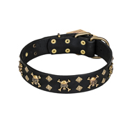 "Jolly Rojer" FDT Artisan Leather German Shepherd Collar with Pirate Skulls and Studs - 1 1/2 inch (40 mm) wide