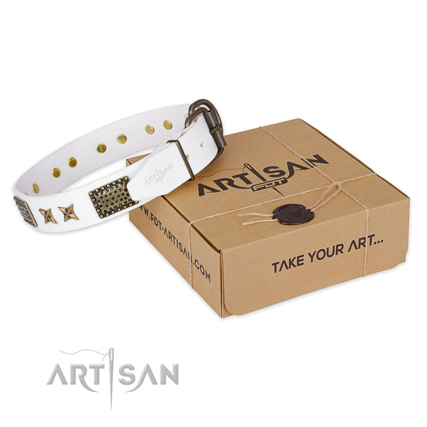 Corrosion proof buckle on full grain leather collar for your stylish doggie