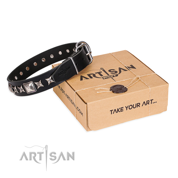 Fancy walking dog collar of high quality full grain natural leather with adornments