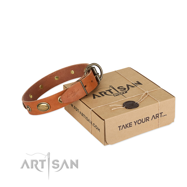 Rust-proof traditional buckle on genuine leather dog collar for your doggie