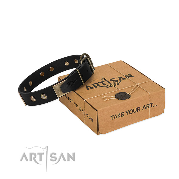 Corrosion resistant studs on dog collar for stylish walking