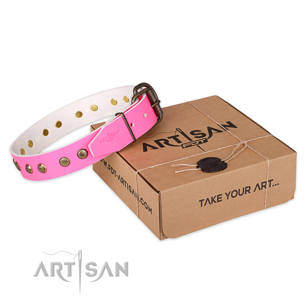 Corrosion proof traditional buckle on full grain leather collar for your beautiful pet