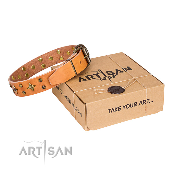 Everyday use dog collar of finest quality full grain natural leather with studs