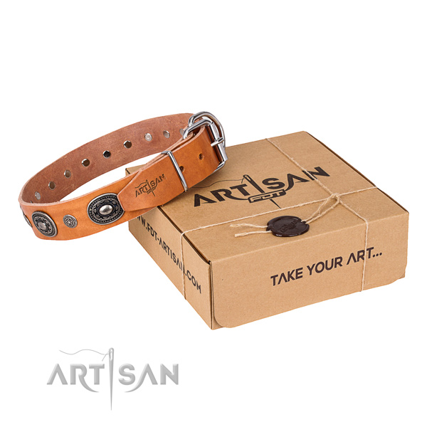 Gentle to touch full grain leather dog collar created for everyday walking