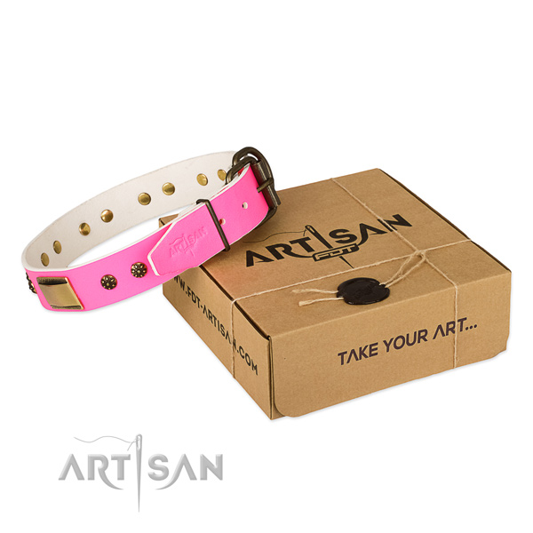 Amazing full grain genuine leather collar for your stylish dog