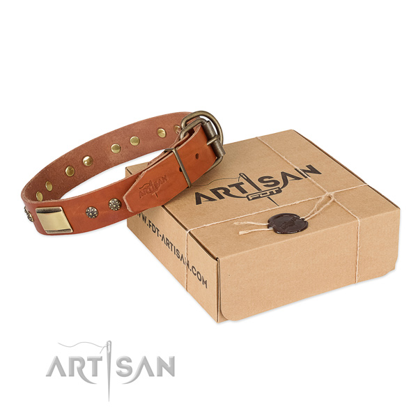 Trendy leather collar for your handsome four-legged friend