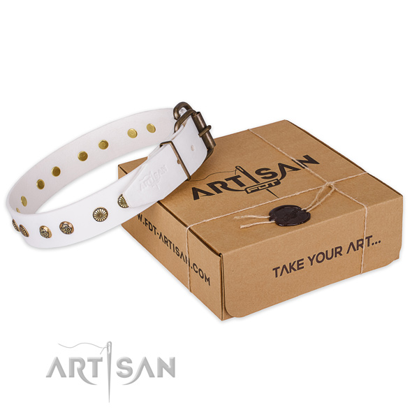 Rust resistant hardware on leather collar for your impressive canine