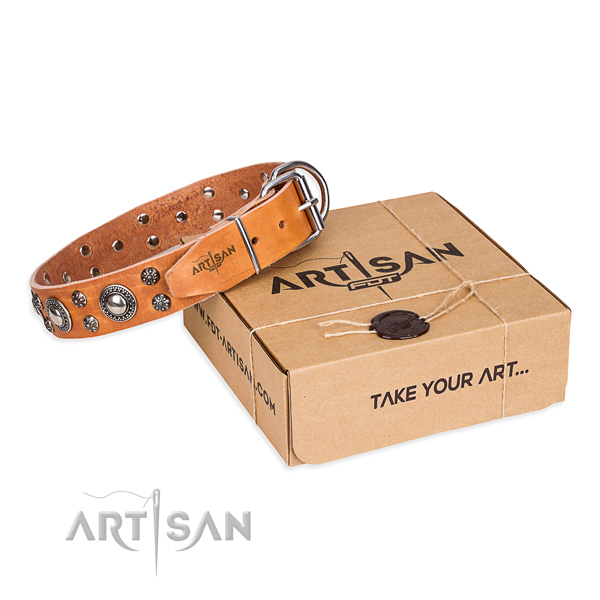 Fancy walking dog collar of strong natural leather with embellishments