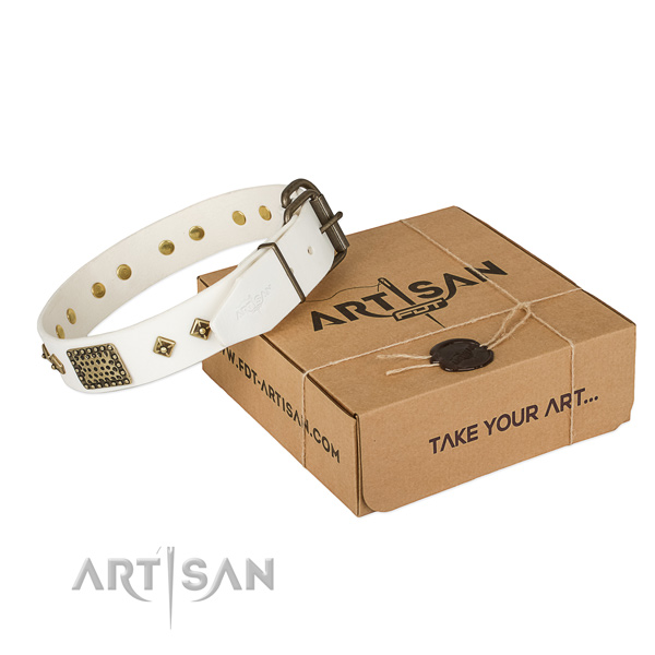 Adorned full grain natural leather collar for your stylish canine