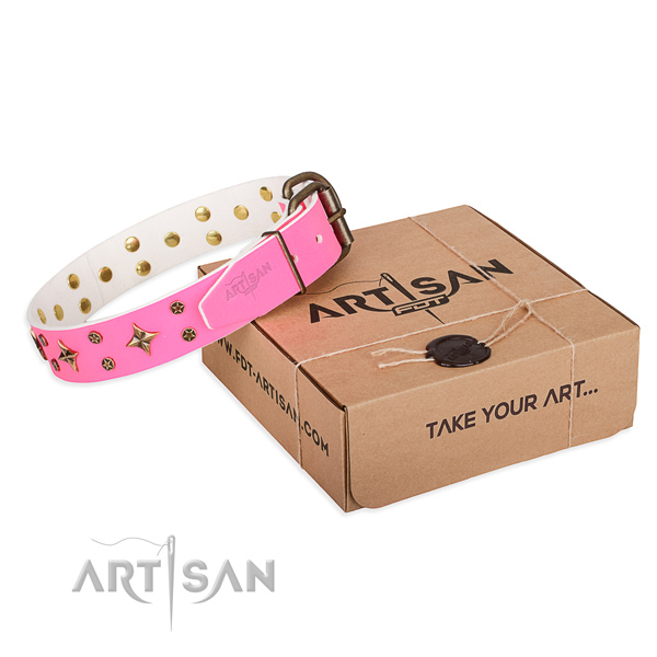 Walking dog collar of reliable full grain leather with studs