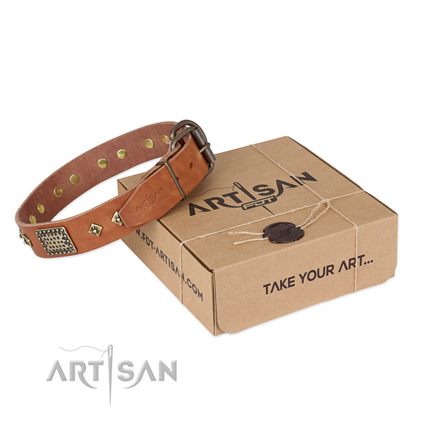 Fine quality natural leather collar for your attractive doggie