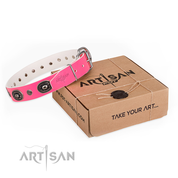 Flexible full grain natural leather dog collar crafted for daily walking