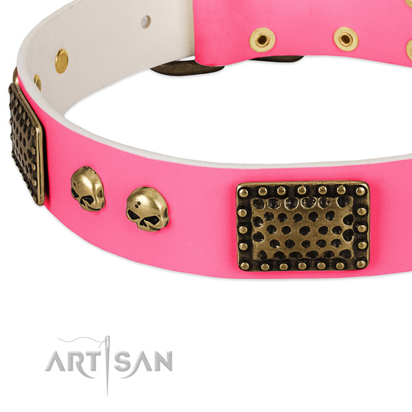 Corrosion proof traditional buckle on leather dog collar for your pet