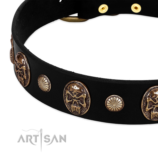 Genuine leather dog collar with stylish embellishments