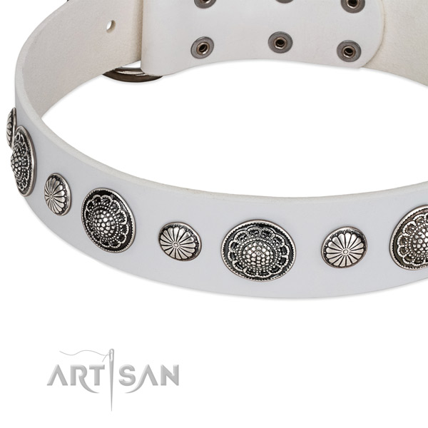 Full grain natural leather collar with corrosion resistant hardware for your attractive dog