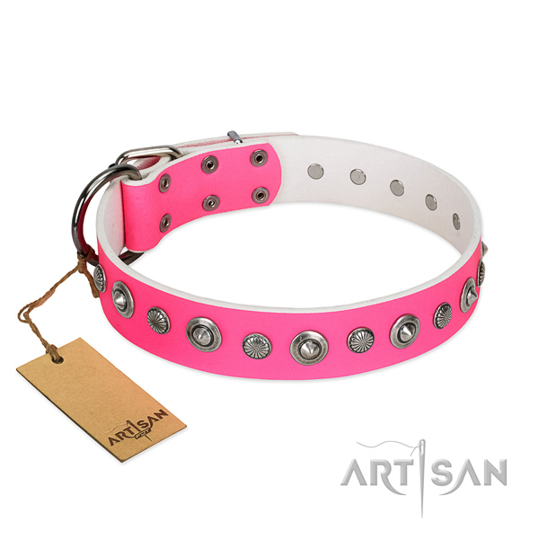 Durable full grain genuine leather dog collar with unusual studs