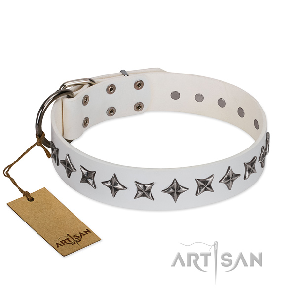 Everyday use dog collar of best quality genuine leather with decorations
