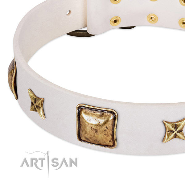 Corrosion proof studs on leather dog collar for your canine