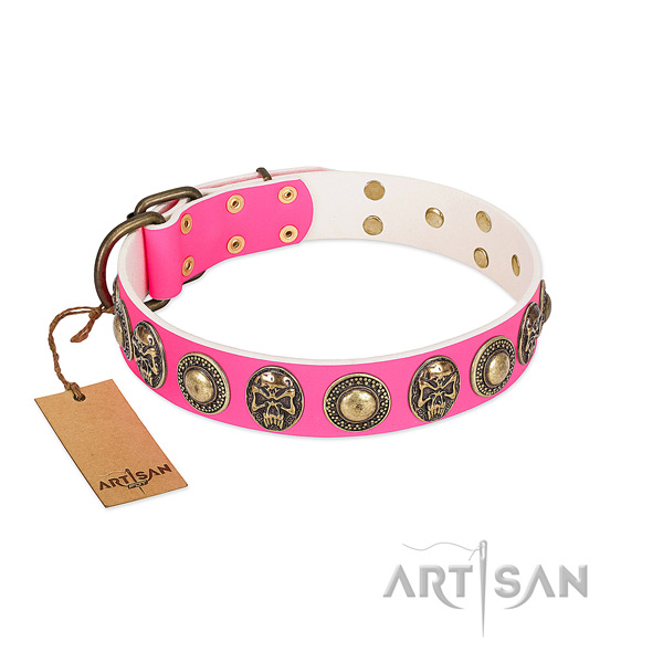 Easy adjustable genuine leather dog collar for stylish walking your doggie
