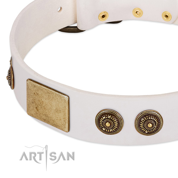 Fashionable dog collar handcrafted for your lovely four-legged friend
