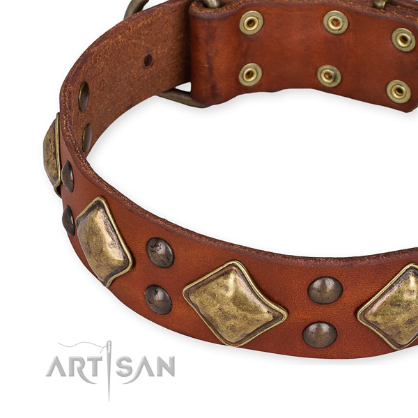 Full grain genuine leather collar with corrosion resistant hardware for your handsome doggie