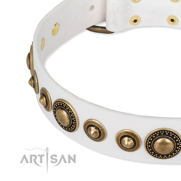 Soft to touch leather dog collar crafted for your impressive canine