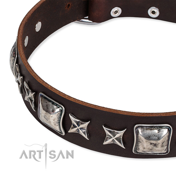 Daily walking embellished dog collar of top notch full grain natural leather