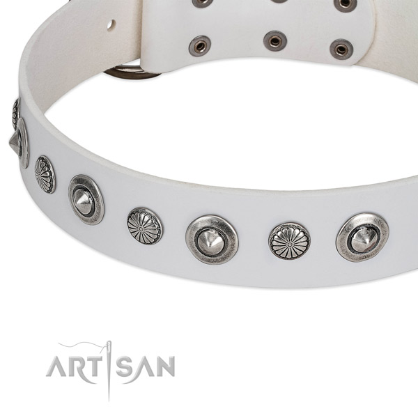 Leather collar with reliable hardware for your impressive dog