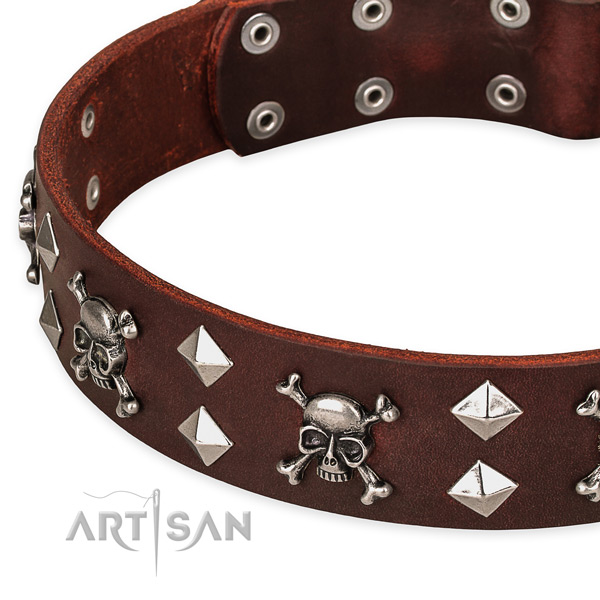 Stylish walking adorned dog collar of top notch leather