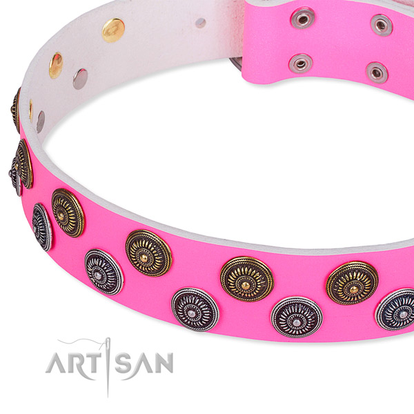 Stylish walking studded dog collar of quality full grain genuine leather