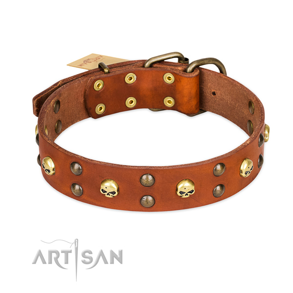 Everyday walking dog collar of fine quality genuine leather with embellishments