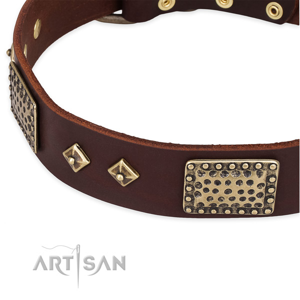 Strong traditional buckle on leather dog collar for your doggie