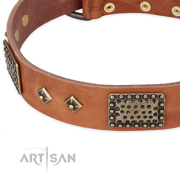 Corrosion proof hardware on genuine leather dog collar for your canine