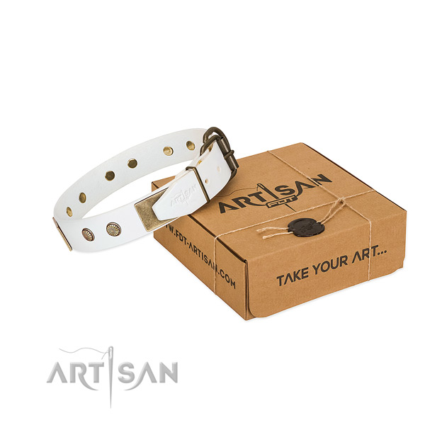 Rust resistant D-ring on dog collar for daily walking